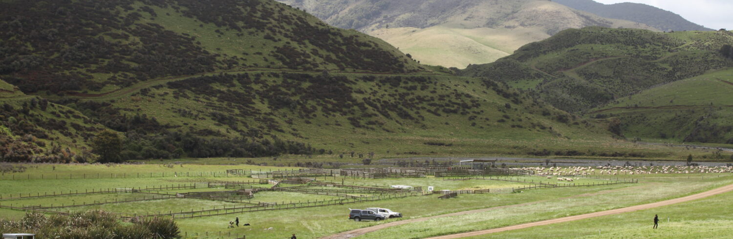 Mount Linton Dog Trial Club Trial 2024
