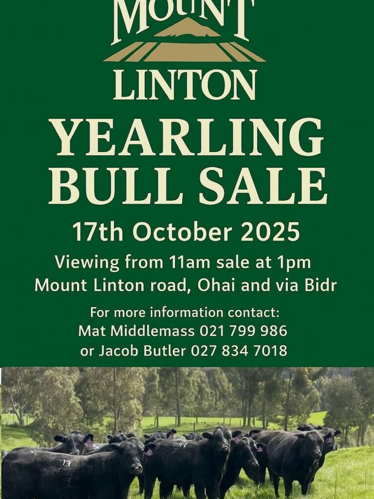 Mount-Linton-Station- Bull-Sale-Yearling-Poster